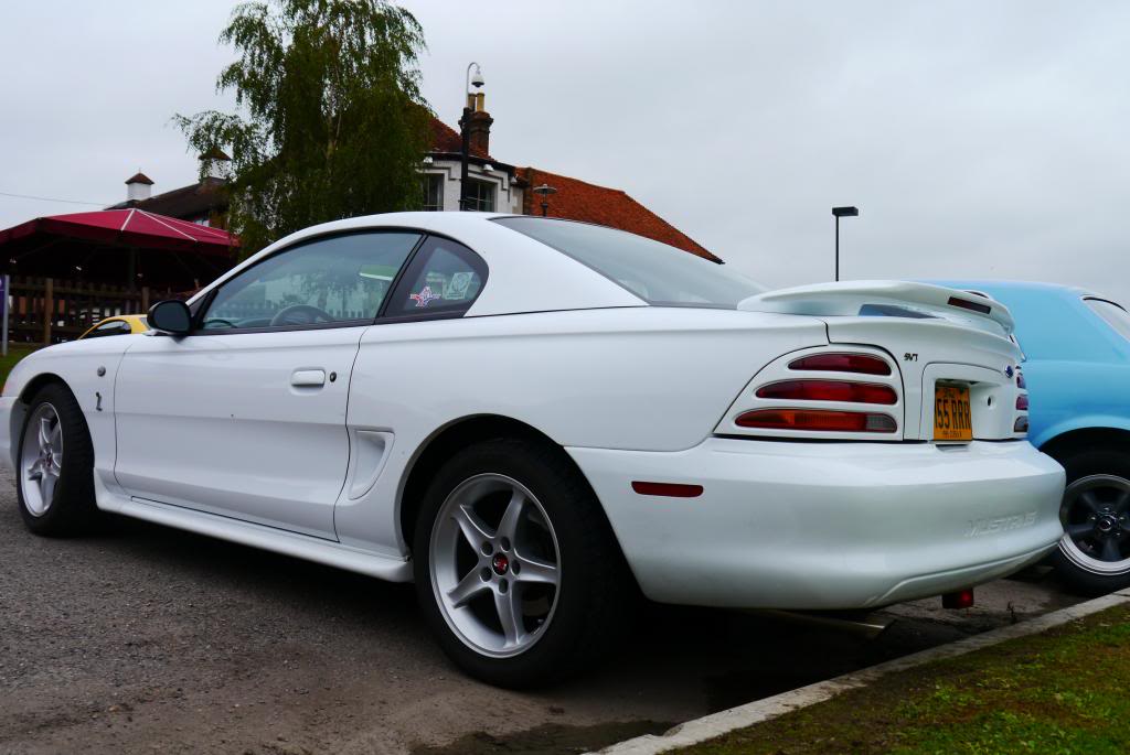 Name:  P1050066_zps571658c0.jpg
Views: 97
Size:  77.8 KB