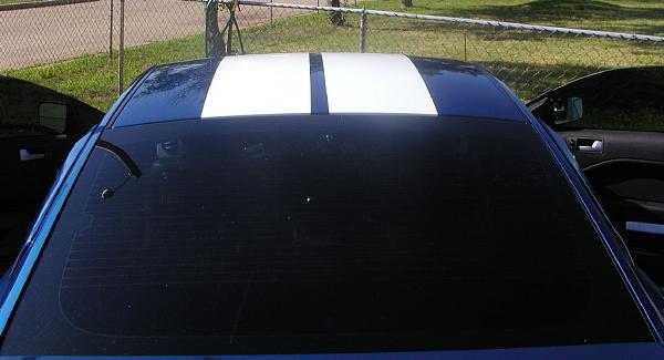 Ponies on The Run!-roof-done.jpg