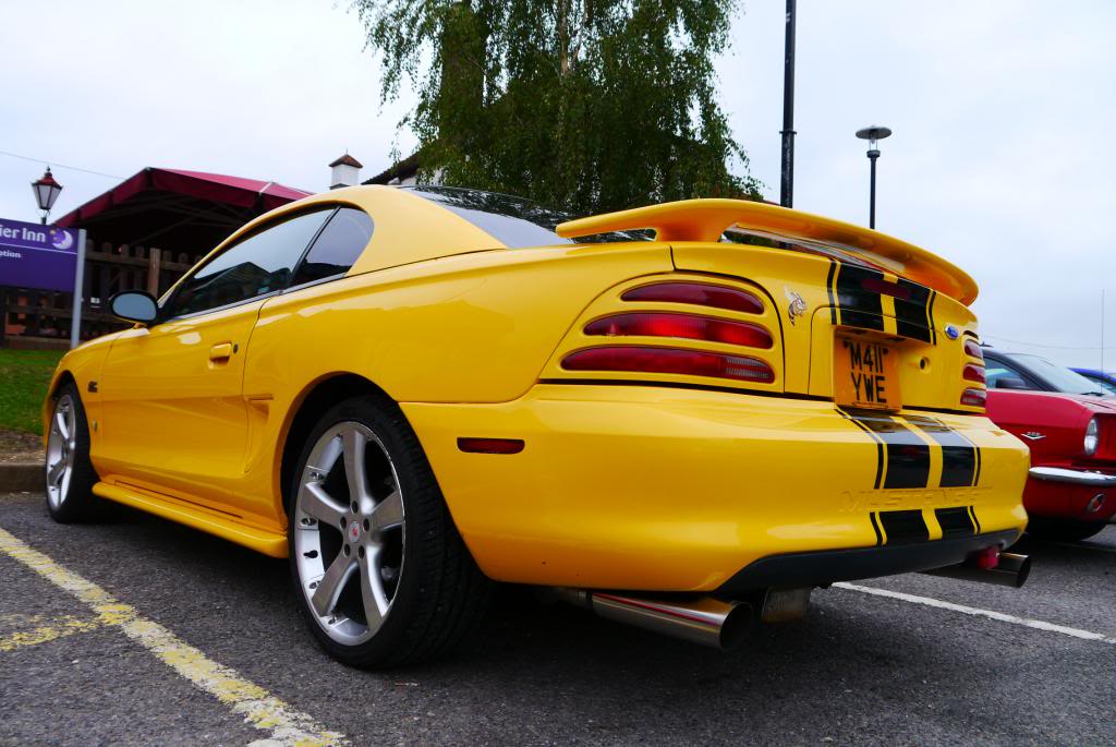 Name:  P1050067_zps494a618c.jpg
Views: 106
Size:  102.0 KB