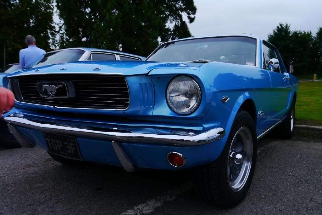 Name:  P1050068_zpscfdf2e0e.jpg
Views: 107
Size:  87.8 KB