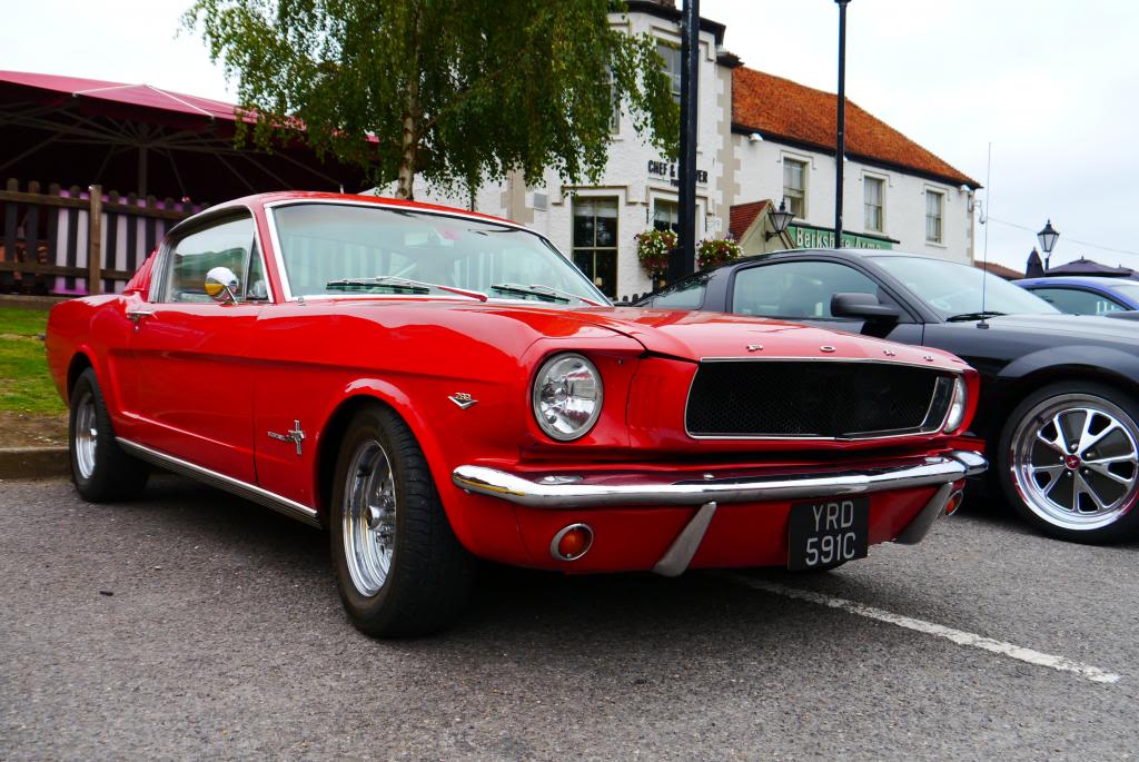 Name:  P1050070_zpsbae485db.jpg
Views: 111
Size:  125.1 KB