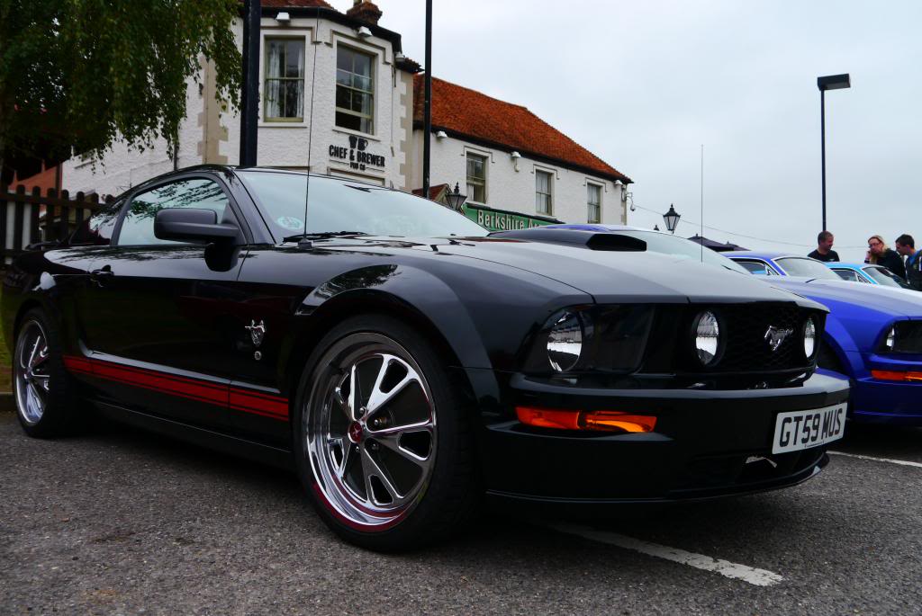 Name:  P1050071_zpsf333da79.jpg
Views: 94
Size:  97.2 KB