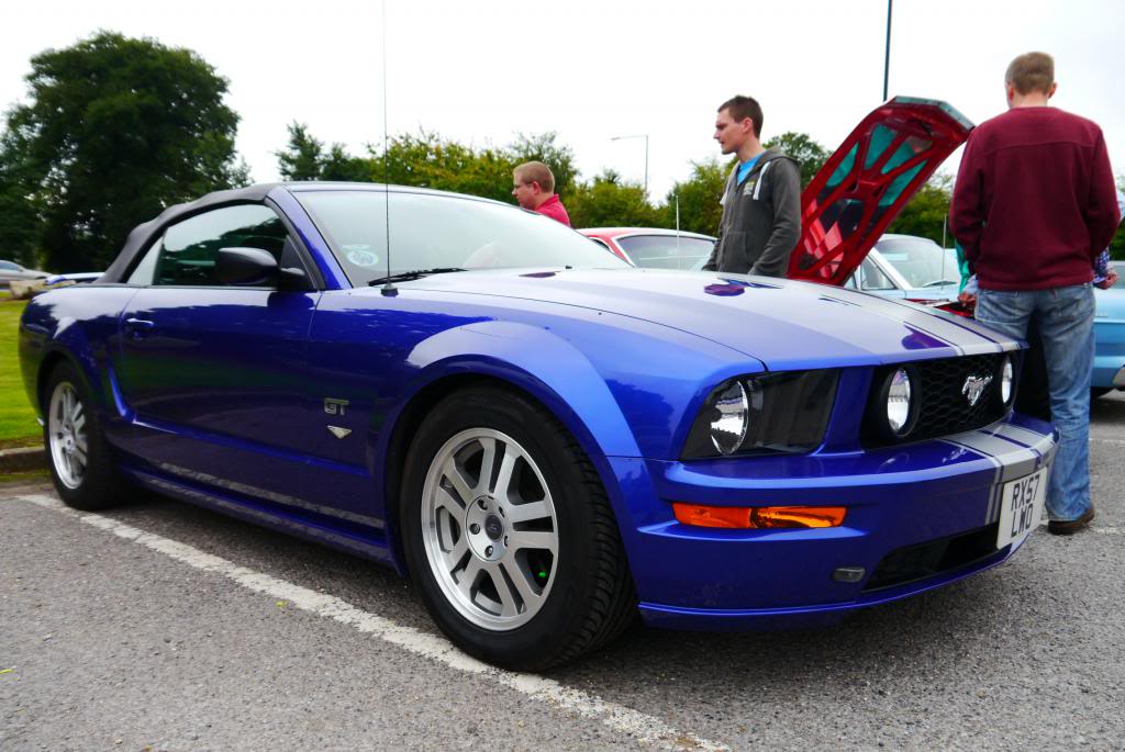 Name:  P1050072_zpscda02d72.jpg
Views: 150
Size:  101.3 KB