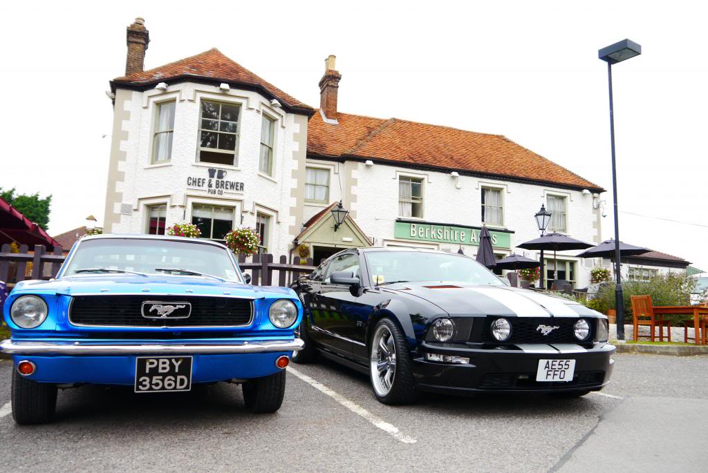 Name:  P1050074_zps7c9bbc94.jpg
Views: 121
Size:  103.7 KB