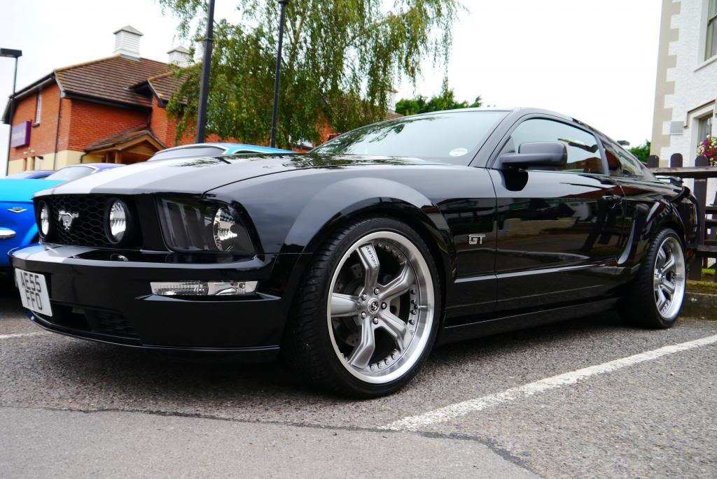 Name:  P1050078_zpseef52039.jpg
Views: 106
Size:  119.9 KB