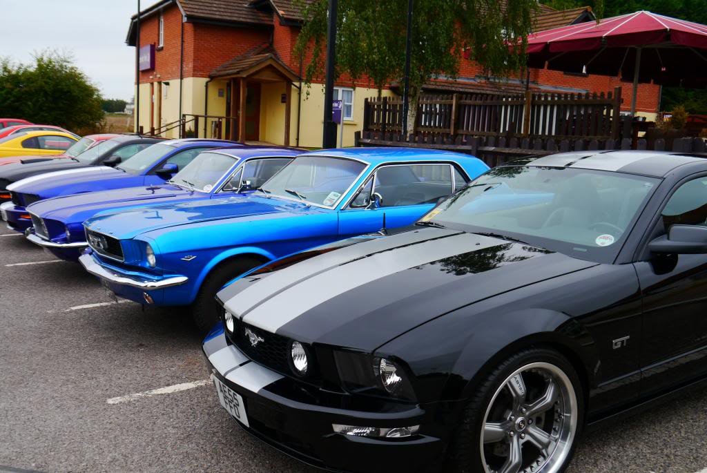 Name:  P1050077_zpsfaf9c8ac.jpg
Views: 79
Size:  114.4 KB