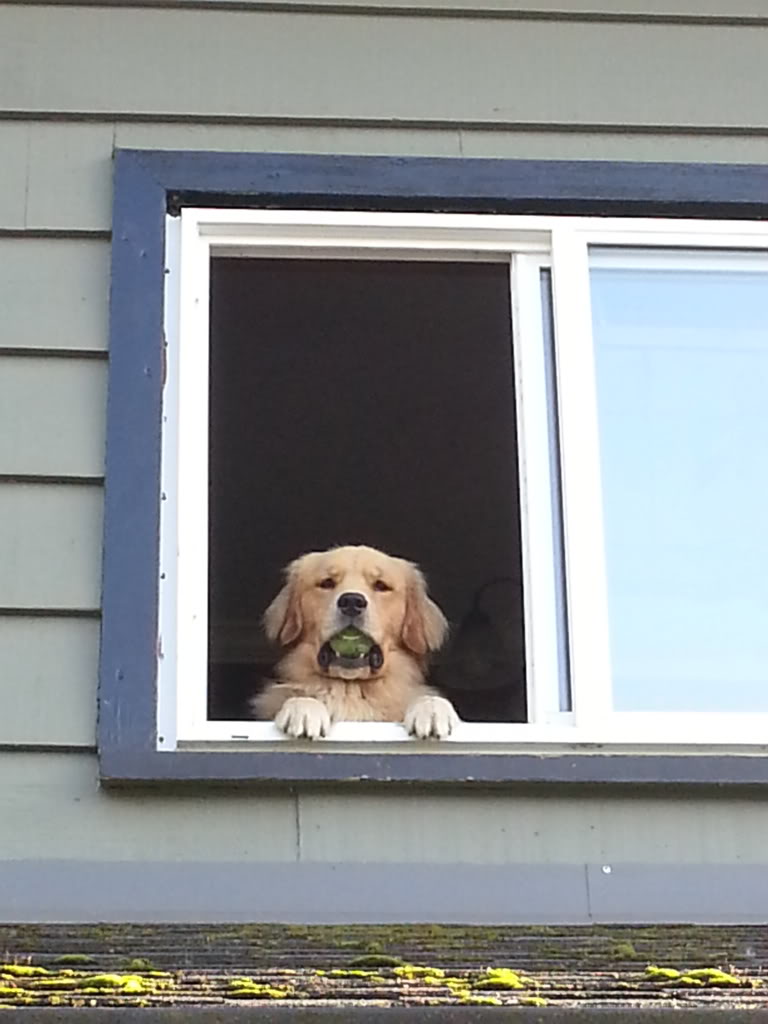 Name:  20130907_180158_zps92e4f6f1.jpg
Views: 50
Size:  76.8 KB