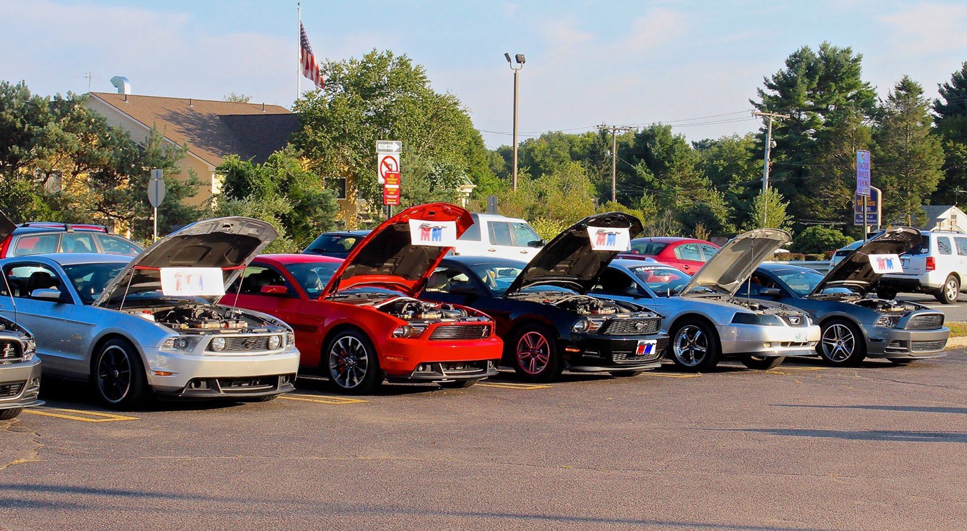 Name:  2013-08-27_Mick-6_zpsa38920de.jpg
Views: 29
Size:  585.3 KB