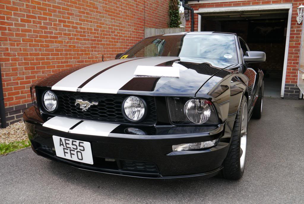 Name:  P1050016_zps2fe8eabf.jpg
Views: 46
Size:  124.4 KB