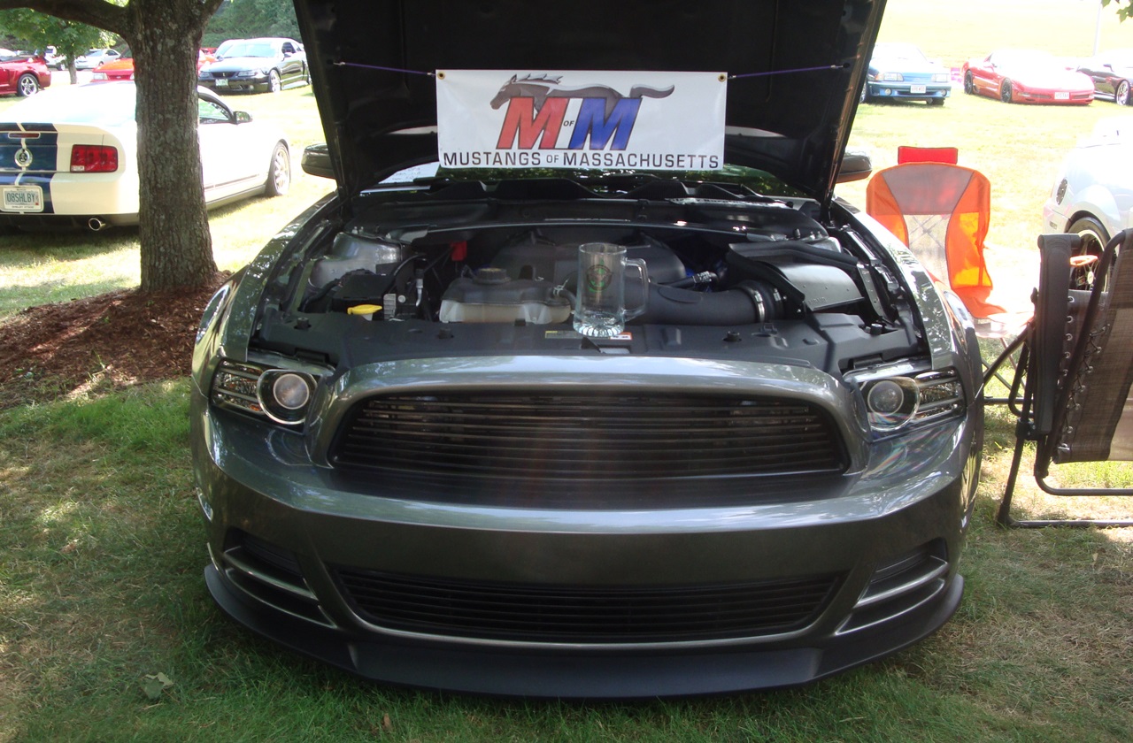 Name:  2013-07-21_Bud-01_zpsa7b98f93.jpg
Views: 96
Size:  383.3 KB