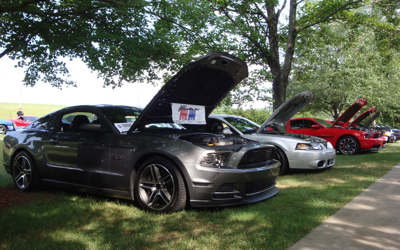 Name:  2013-07-21_Bud-06_zps44c9f278.jpg
Views: 109
Size:  517.6 KB