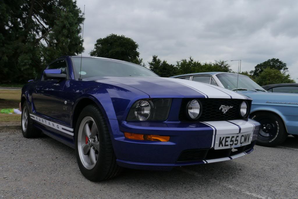 Name:  P1040430_zps21ec8aaf.jpg
Views: 43
Size:  85.3 KB