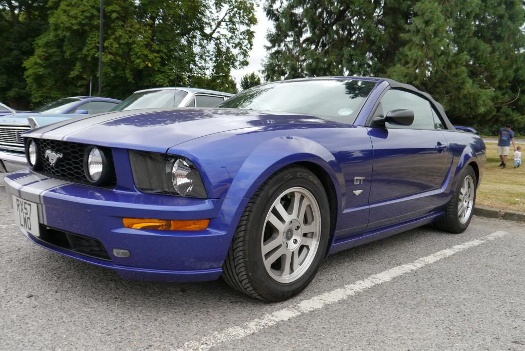 Name:  P1040432_zpsc56b52c8.jpg
Views: 51
Size:  130.2 KB