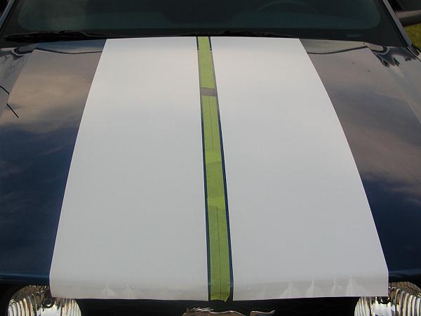 Ponies on The Run!-hood-masked.jpg