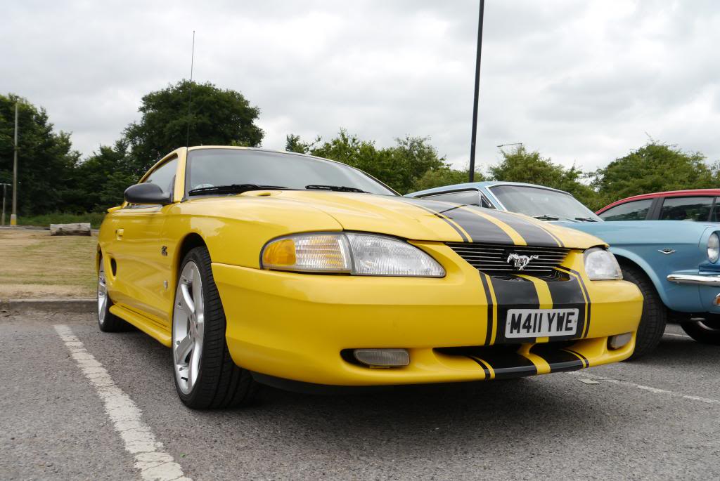 Name:  P1040433_zpsfffedbed.jpg
Views: 43
Size:  94.0 KB