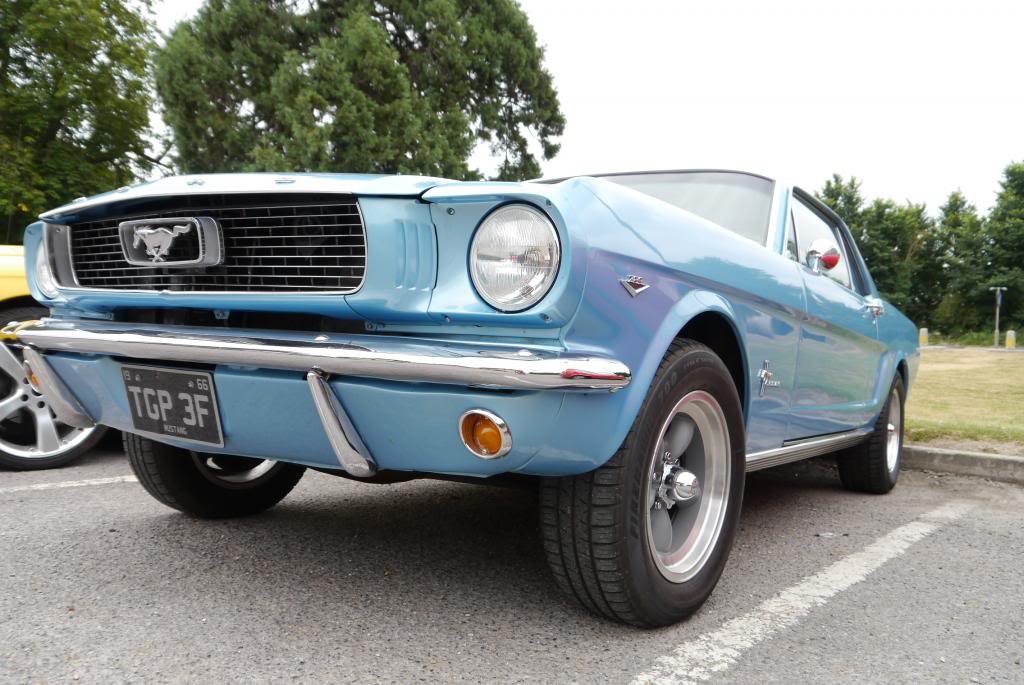 Name:  P1040434_zps3f452560.jpg
Views: 59
Size:  110.4 KB