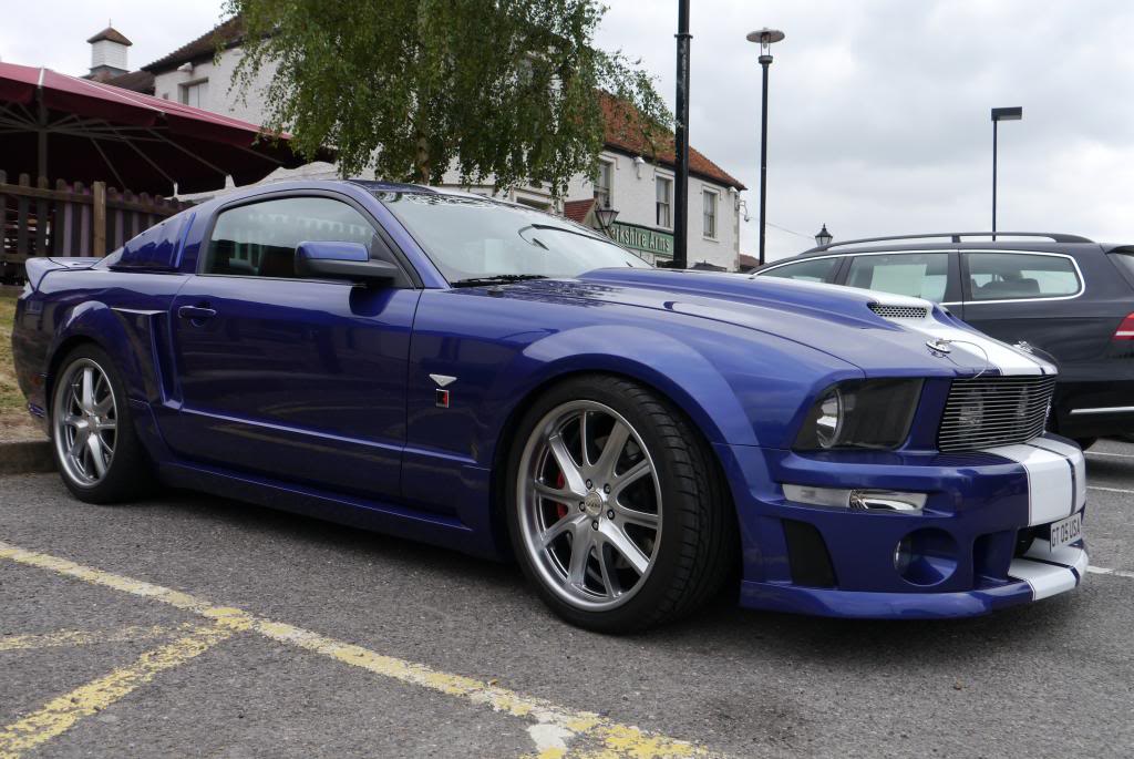 Name:  P1040436_zps066b8efc.jpg
Views: 45
Size:  109.6 KB