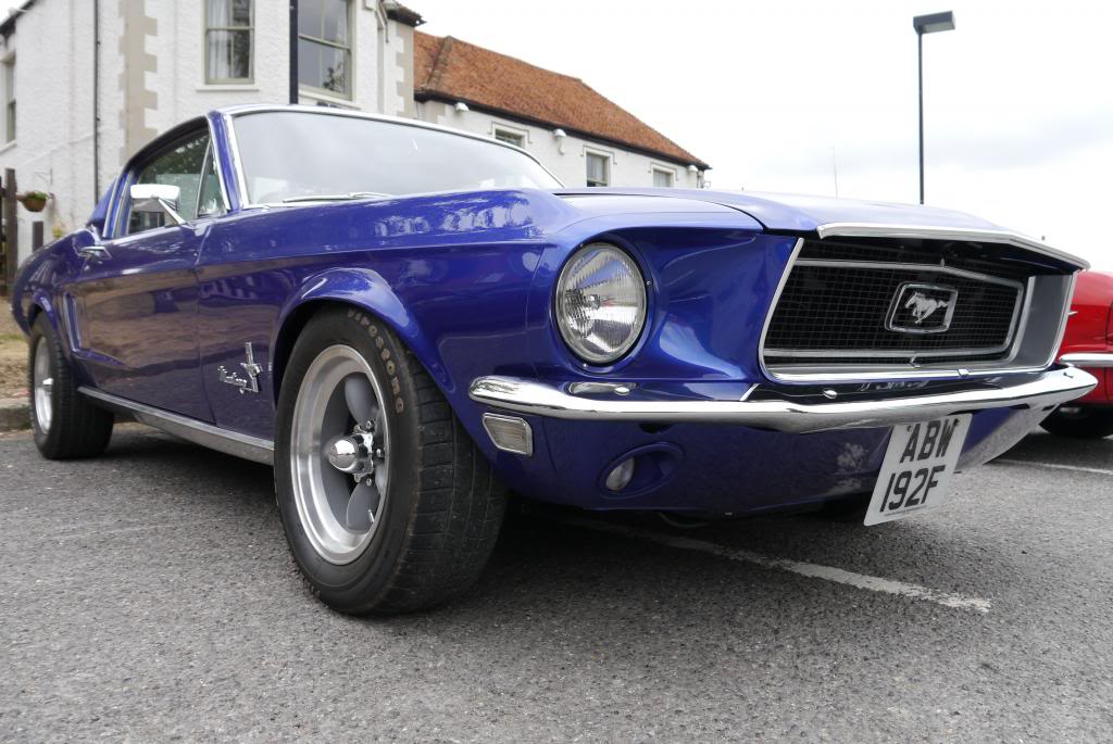 Name:  P1040438_zps6093a6e4.jpg
Views: 43
Size:  104.1 KB