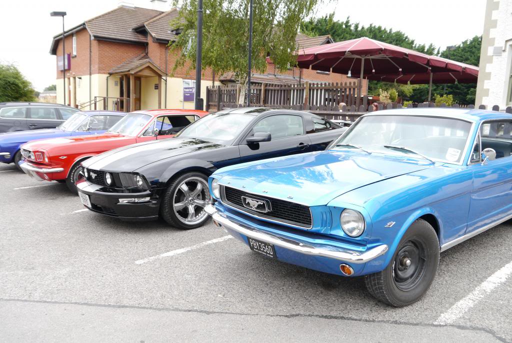 Name:  P1040443_zpsd4958d09.jpg
Views: 50
Size:  131.6 KB