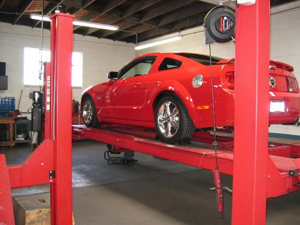 Ponies on The Run!-img_8229m.jpg