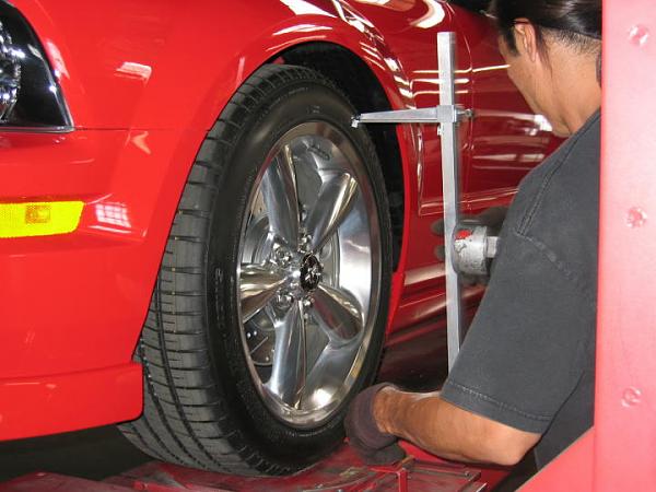 Ponies on The Run!-img_8231m.jpg