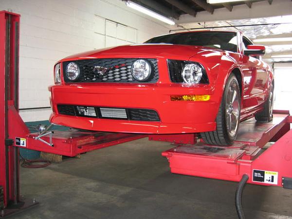 Ponies on The Run!-img_8235m.jpg