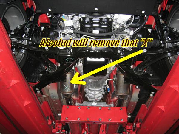 Ponies on The Run!-img_8234m.jpg