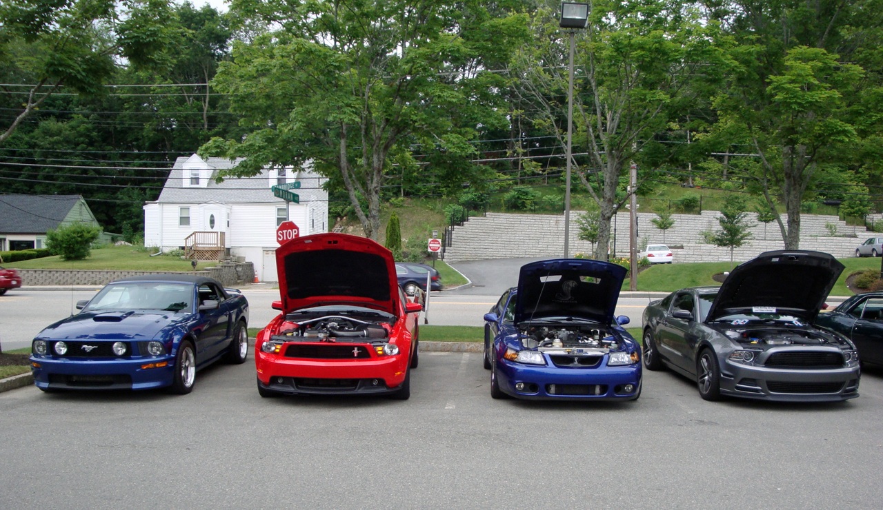 Name:  2013-06-16_Burl1_zpsea627c2c.jpg
Views: 107
Size:  445.9 KB