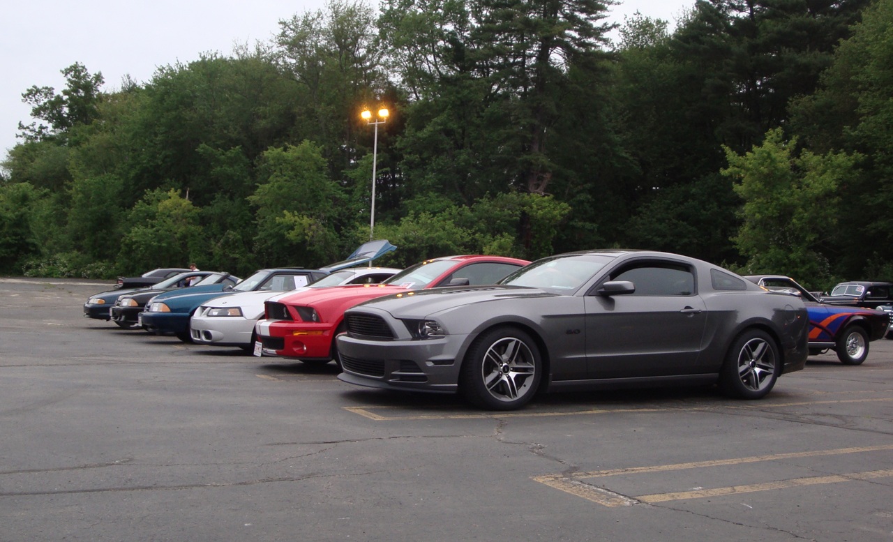 Name:  2013-06-06_Kittys2_zps44799cd8.jpg
Views: 50
Size:  328.0 KB
