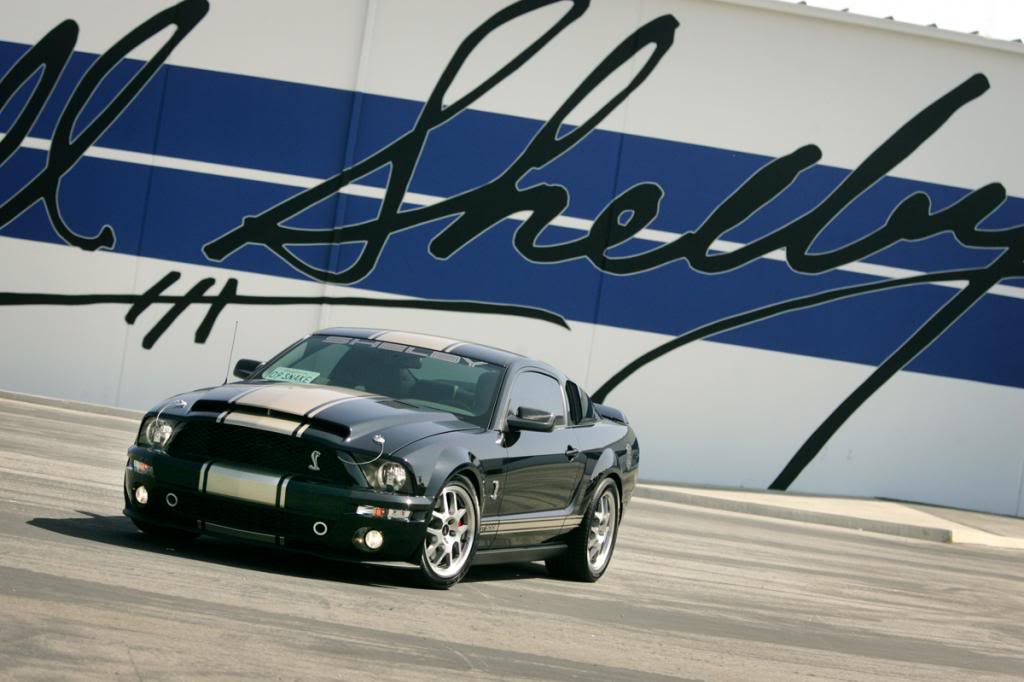 Name:  ShelbyLU7E0532sigAre_zpsb018557a.jpg
Views: 86
Size:  77.1 KB