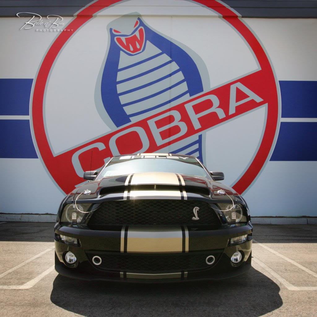 Name:  CobraLogo509retA_zps421c6253.jpg
Views: 93
Size:  98.6 KB