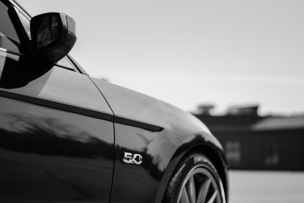 Name:  DSC_0403.jpg
Views: 74
Size:  33.1 KB