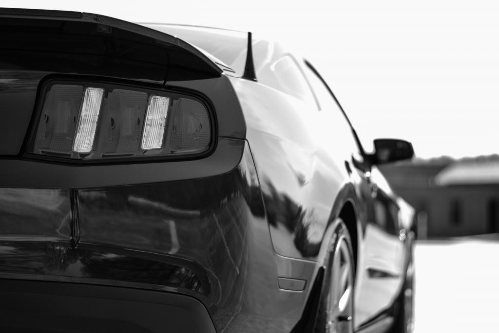 Name:  DSC_0399.jpg
Views: 95
Size:  44.5 KB