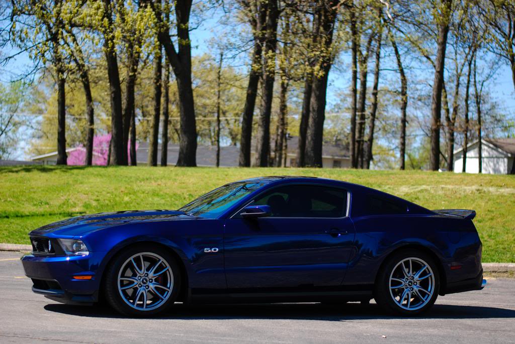 Name:  DSC_0384.jpg
Views: 80
Size:  124.9 KB