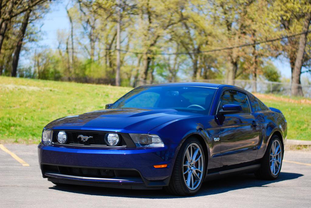 Name:  DSC_0372.jpg
Views: 105
Size:  100.0 KB