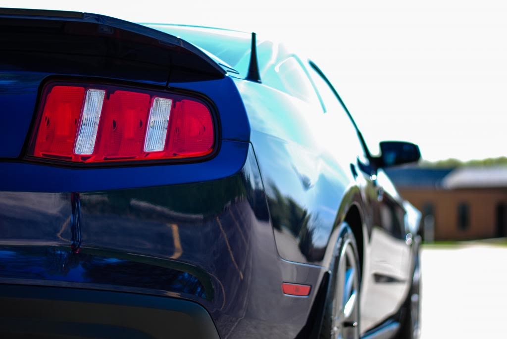 Name:  DSC_0399-2.jpg
Views: 79
Size:  53.3 KB