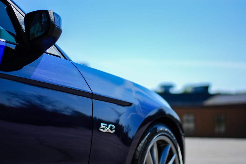 Name:  DSC_0403-2.jpg
Views: 59
Size:  39.3 KB