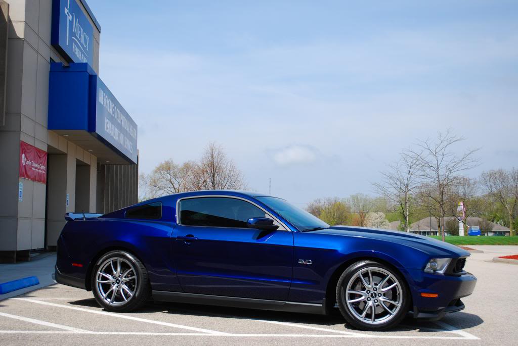 Name:  DSC_0303.jpg
Views: 56
Size:  72.5 KB