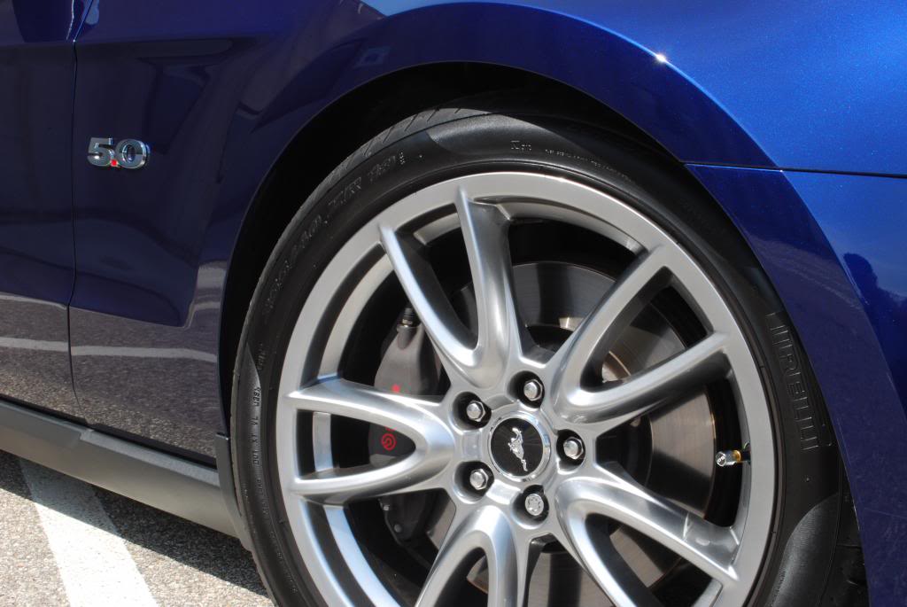 Name:  DSC_0338.jpg
Views: 38
Size:  75.4 KB