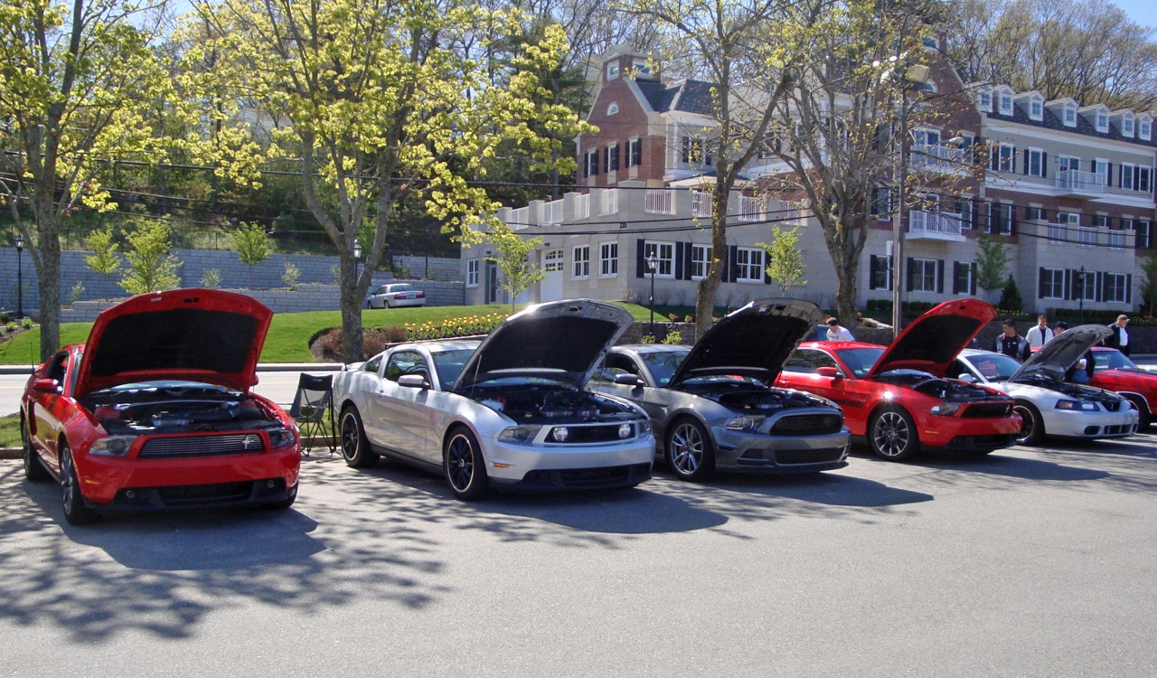 Name:  2013-05-05_Burl-2_zpsa7a45f92.jpg
Views: 48
Size:  492.6 KB