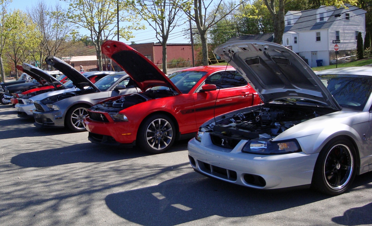 Name:  2013-05-05_Burl-1_zpse47f0a73.jpg
Views: 52
Size:  437.0 KB