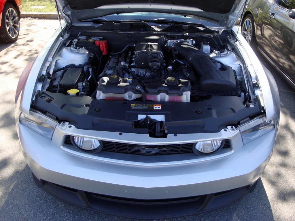 Name:  2013-05-05_Burl-4_zps0e76fb1e.jpg
Views: 48
Size:  296.4 KB