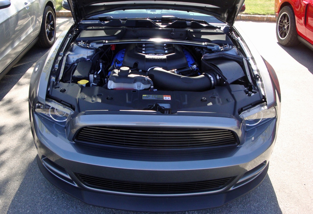 Name:  2013-05-05_Burl-5_zpsf4d8efca.jpg
Views: 56
Size:  282.7 KB