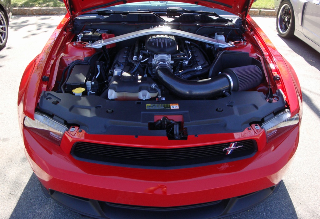 Name:  2013-05-05_Burl-6_zps1174fe31.jpg
Views: 50
Size:  273.4 KB