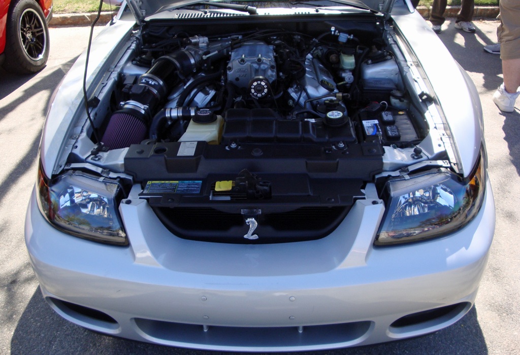 Name:  2013-05-05_Burl-7_zps5544fe94.jpg
Views: 73
Size:  260.1 KB