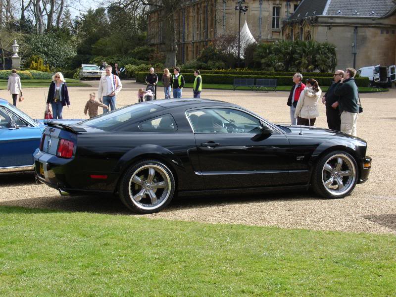 Name:  DSC03018.jpg
Views: 67
Size:  111.6 KB