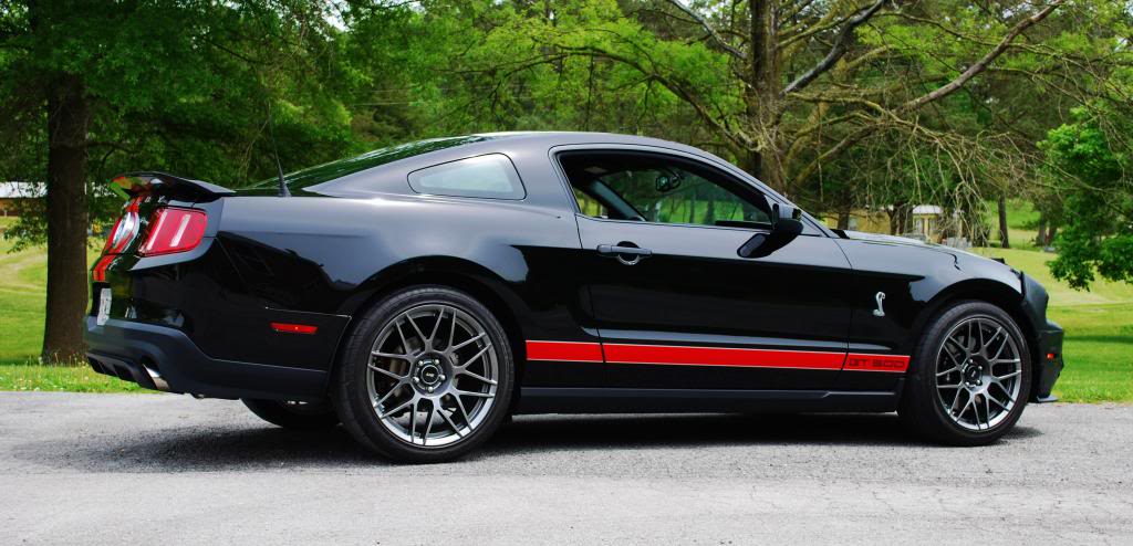 Name:  DSC_0957_zps5265f576.jpg
Views: 94
Size:  92.9 KB