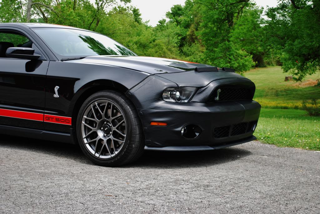 Name:  DSC_0956_zpsf30fe1eb.jpg
Views: 78
Size:  138.8 KB