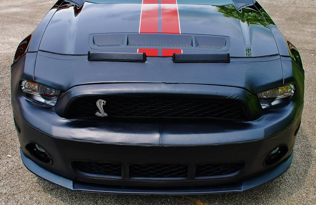 Name:  DSC_0961_zpsf254a783.jpg
Views: 51
Size:  111.5 KB