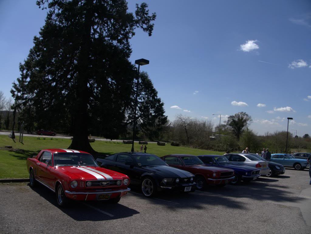 Name:  P1030375_zps6100d7b0.jpg
Views: 34
Size:  91.5 KB